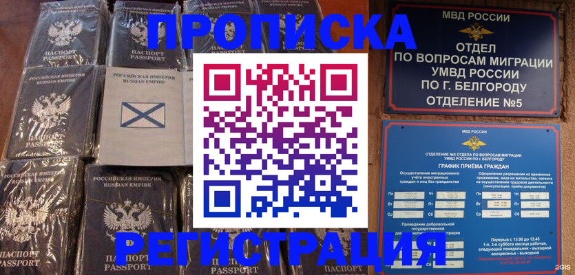 прописка гарантия в Эртили